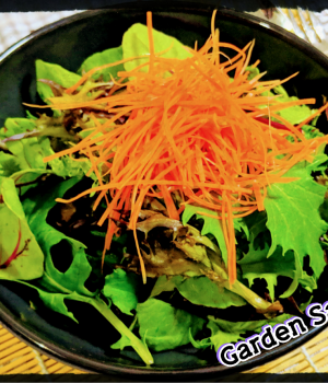 Garden Salad Hachi Kichi